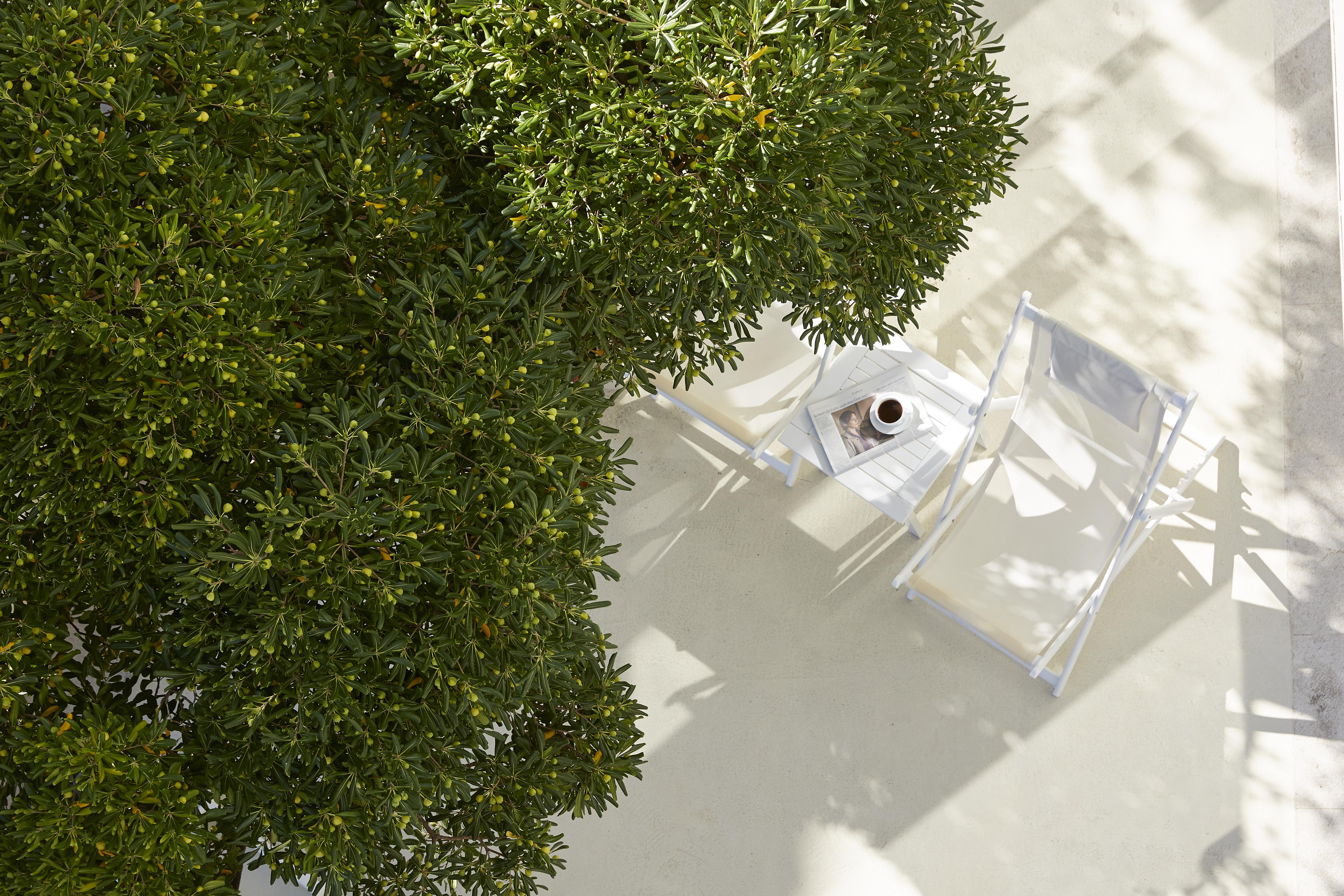 Corfu  Mon Repos Palace “Art Hotel” Operated By Ella Resorts (Adults Only) מראה חיצוני תמונה